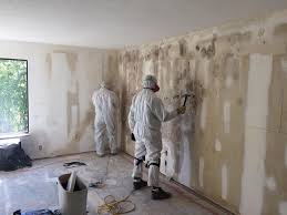 Best Comprehensive Air Testing for Mold Contaminants  in East Peoria, IL